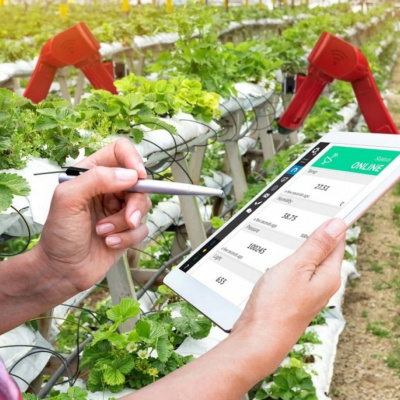 Vov - Viêt Nam Va Thê Gii