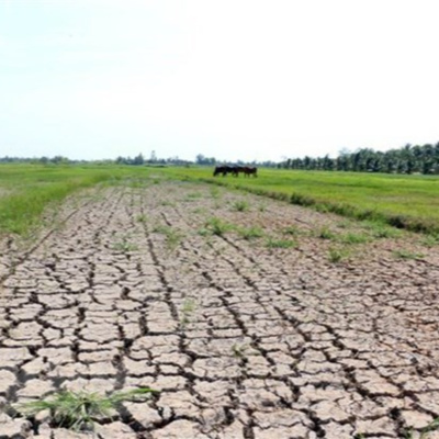 Vov - Viêt Nam Va Thê Gii