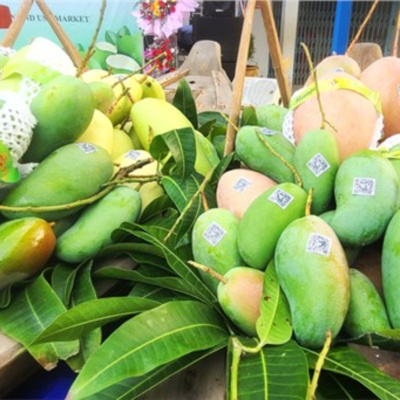 Vov - Viêt Nam Va Thê Gii