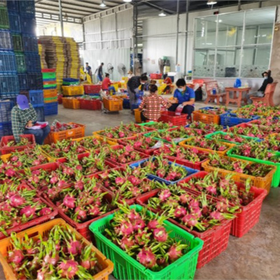 Vov - Viêt Nam Va Thê Gii