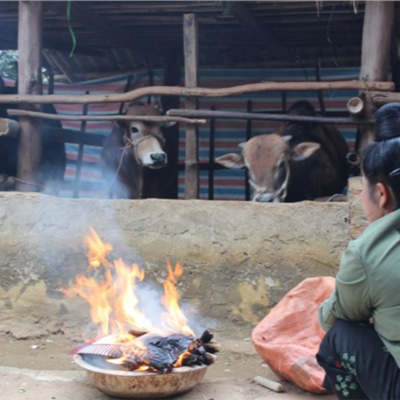 Vov - Viêt Nam Va Thê Gii