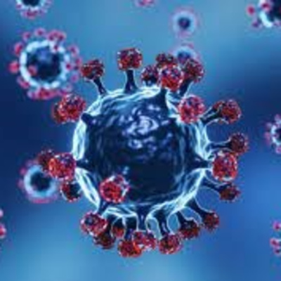 Vov - Viêt Nam Va Thê Gii