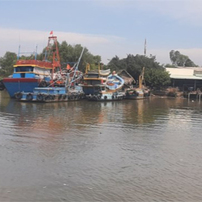 Vov - Viêt Nam Va Thê Gii