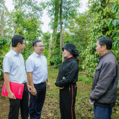 Vov - Viêt Nam Va Thê Gii