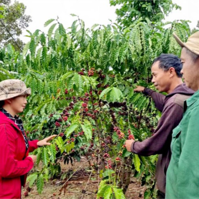 Vov - Viêt Nam Va Thê Gii