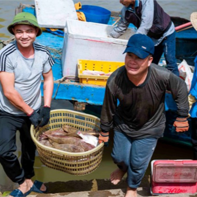 Vov - Viêt Nam Va Thê Gii