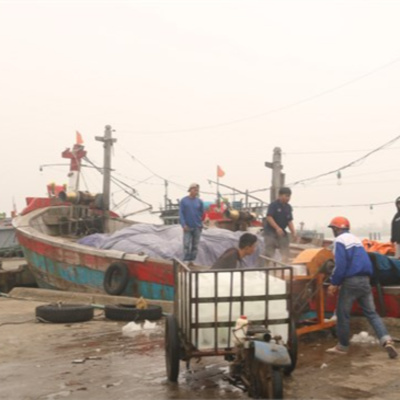 Vov - Viêt Nam Va Thê Gii