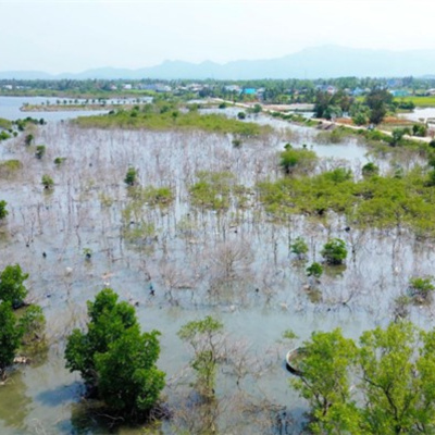 Vov - Viêt Nam Va Thê Gii