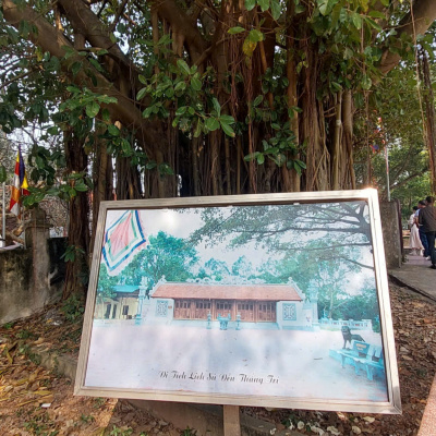 Vov - Viêt Nam Va Thê Gii