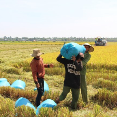 Vov - Viêt Nam Va Thê Gii