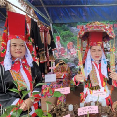 Vov - Viêt Nam Va Thê Gii