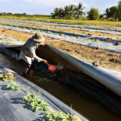 Vov - Viêt Nam Va Thê Gii