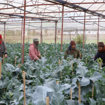 Vov - Viêt Nam Va Thê Gii