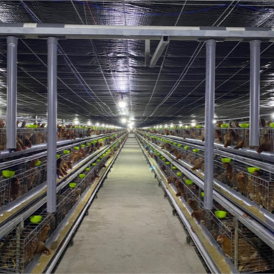 Vov - Viêt Nam Va Thê Gii