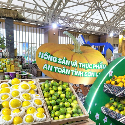 Vov - Viêt Nam Va Thê Gii