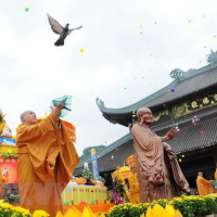 VOV - Đời sống tôn giáo: Đại lễ Vesak 2019: Cùng chia sẻ vì xã hội bền vững