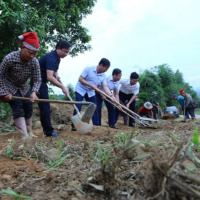 Xây dựng Đảng: Ở nơi lãnh đạo, Đảng viên mỗi cuối tuần tìm về cơ sở