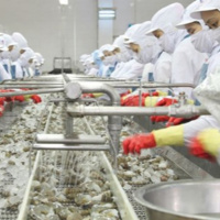 VOV - Chính phủ với người dân: Doanh nghiệp đón nhận cơ hội từ các Hiệp định thương mại