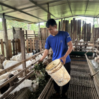 Xây dựng Đảng - Phát huy vai trò đảng viên trong phát triển kinh tế 