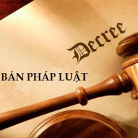 VOV - Quốc hội với cử tri: Nâng cao chất lượng công tác xây dựng Luật