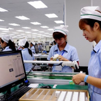 VOV - Pháp luật và đời sống: Doanh nghiệp sử dụng nhiều chiêu trò để trốn đóng bảo hiểm xã hội