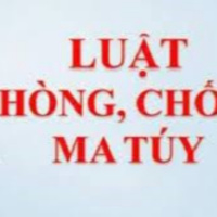 VOV - Pháp luật và đời sống: Hải quan tham gia xây dựng dự thảo Nghị định hướng dẫn thi hành luật phòng chống ma tuý 2021