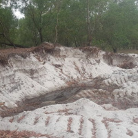 Pháp luật đời sồng - Khai thác cát trắng trái phép ở Khu Kinh tế Đông Nam Quảng Trị chưa được ngăn chặn
