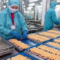 Pháp luật đời sống - Doanh nghiệp với việc thực hiện các quy định về an toàn thực phẩm (30/05/2025)