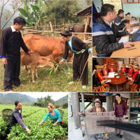 VOV - Chính phủ với người dân: Hỗ trợ đồng bào dân tộc thiểu số vay vốn phát triển sản xuất, xóa đói giảm nghèo