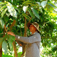 Xây dựng Đảng - Phát huy vai trò đảng viên trong phát triển kinh tế ở Lâm Đồng.