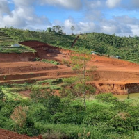 VOV - Pháp luật và đời sống: Đắk Nông tràn lan san đồi, bạt núi trái phép