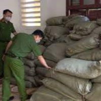 VOV - Pháp luật và đời sống: Cần giải pháp căn cơ ngăn chặn nhập lậu thuốc lá nguyên liệu. 