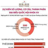 VOV - Quốc hội với cử tri: Tăng chuyên trách, tăng chuyên nghiệp