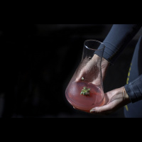 Izstādes Dekoloniālās ekoloģijas trīs darbu tapšanas stāsti