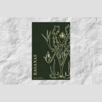 Maģija notiek! Saruna par Dainas Tabūnas jaunāko romānu Raganas