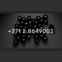 “+371 28649002. Mākslinieks Martins Vizbulis aicina piezvanīt viņa darbiem izstādē