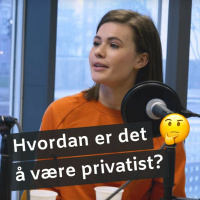 1: Hvordan er det å være privatist?
