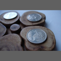 Pēdējas desmitgadēs tapušās Latvijas naudas dizains