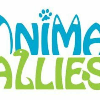 Læringsløp Drammen