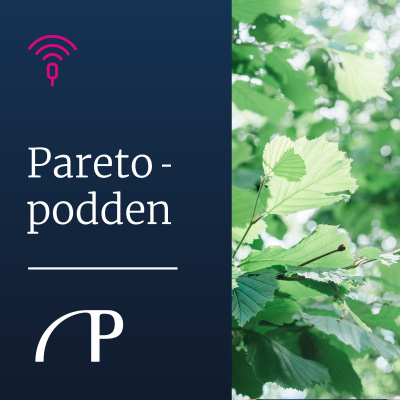 Paretopodden