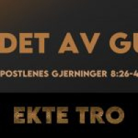 11 Ledet av Gud | Ekte tro | Thomas N. Eriksen [bare lyd]