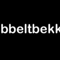 Stein Moen Dobbeltbekken [Bare Lyd]