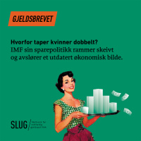 Gjeld og kjønn: kan gjeldskriser og sparetiltak ramme skeivt?