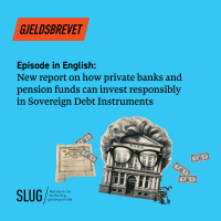 English: New Report on Private Investments in Sovereign Debt Instruments
