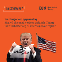 Institusjoner i oppløsning: Hva skjer med den globale gjelda nå?