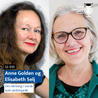 LL-555: Golden og Selj om skriving i norsk som andrespråk
