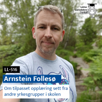 LL-516: Arnstein Follesø om tilpasset opplæring sett fra andre yrkesgrupper i skolen