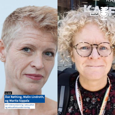 Lektor Lomsdalens Innfall