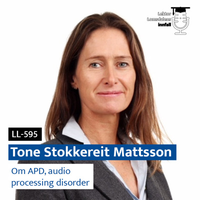 Lektor Lomsdalens Innfall