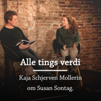Alle tings verdi - om Susan Sontag